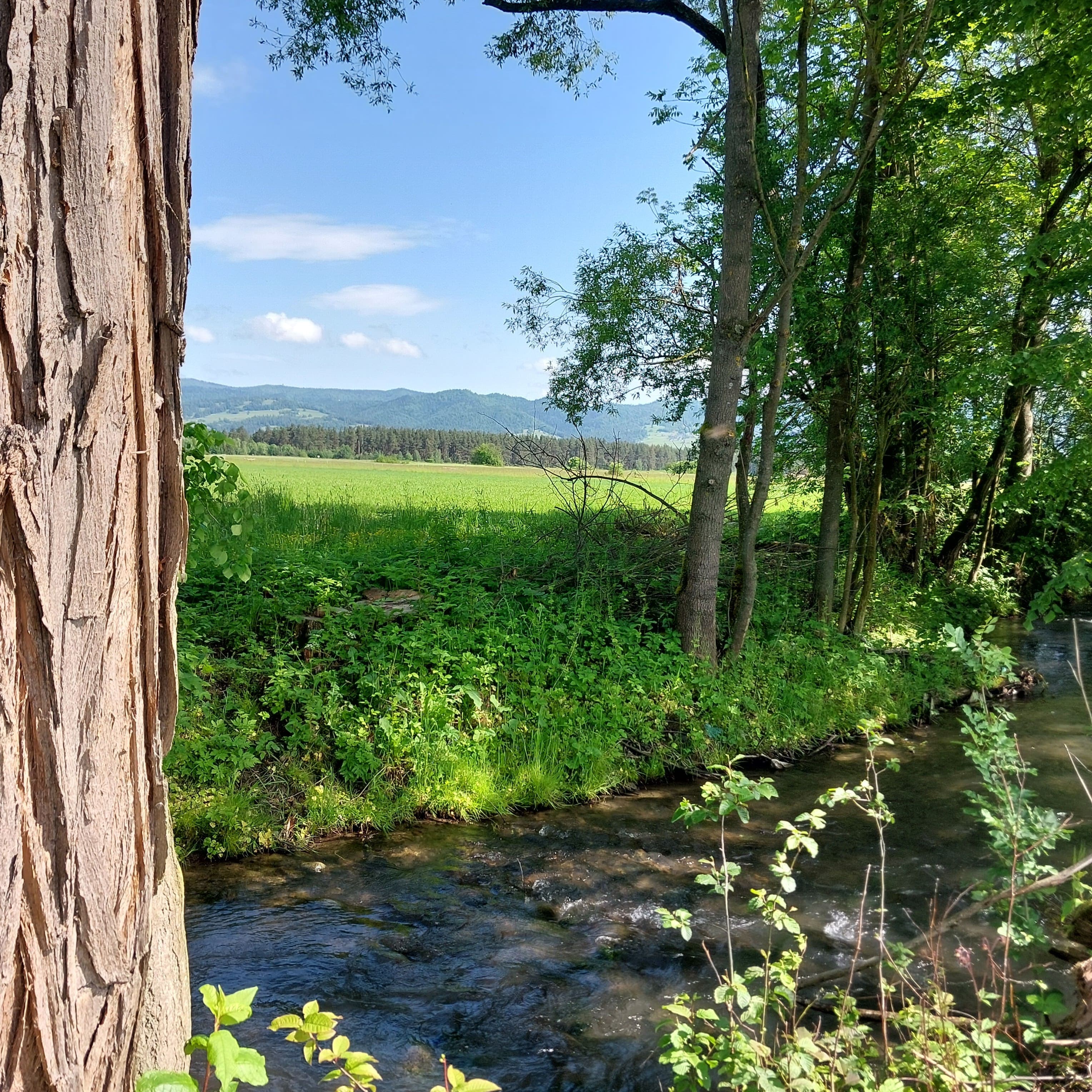 Przestrzeń wspólna i otoczenie 21