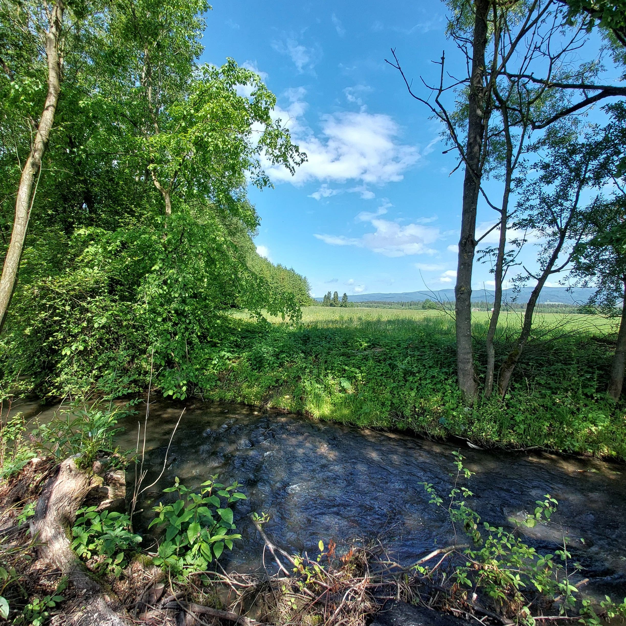 Przestrzeń wspólna i otoczenie 22